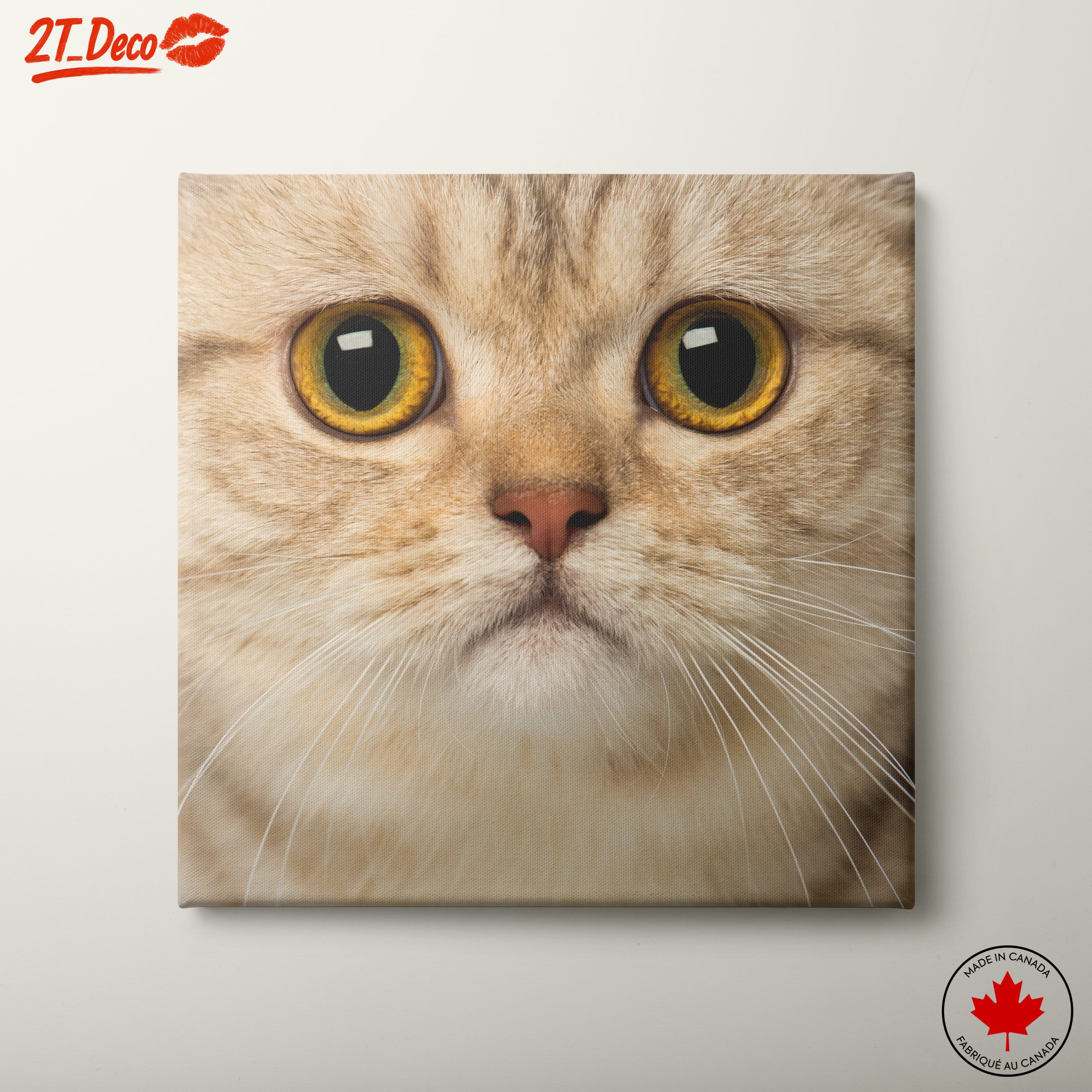 Close-Up Cat Portrait with Bright Eyes