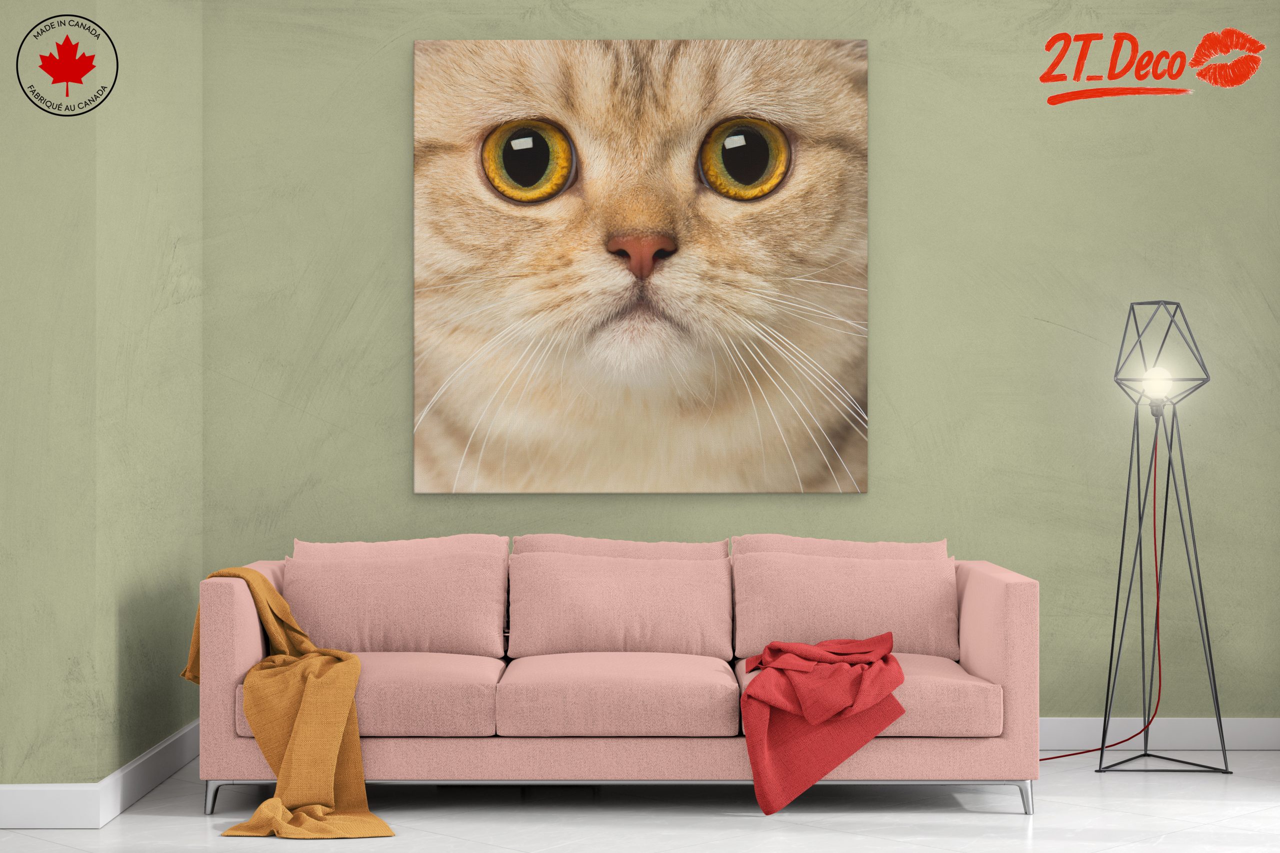 Close-Up Cat Portrait with Bright Eyes - Image 2
