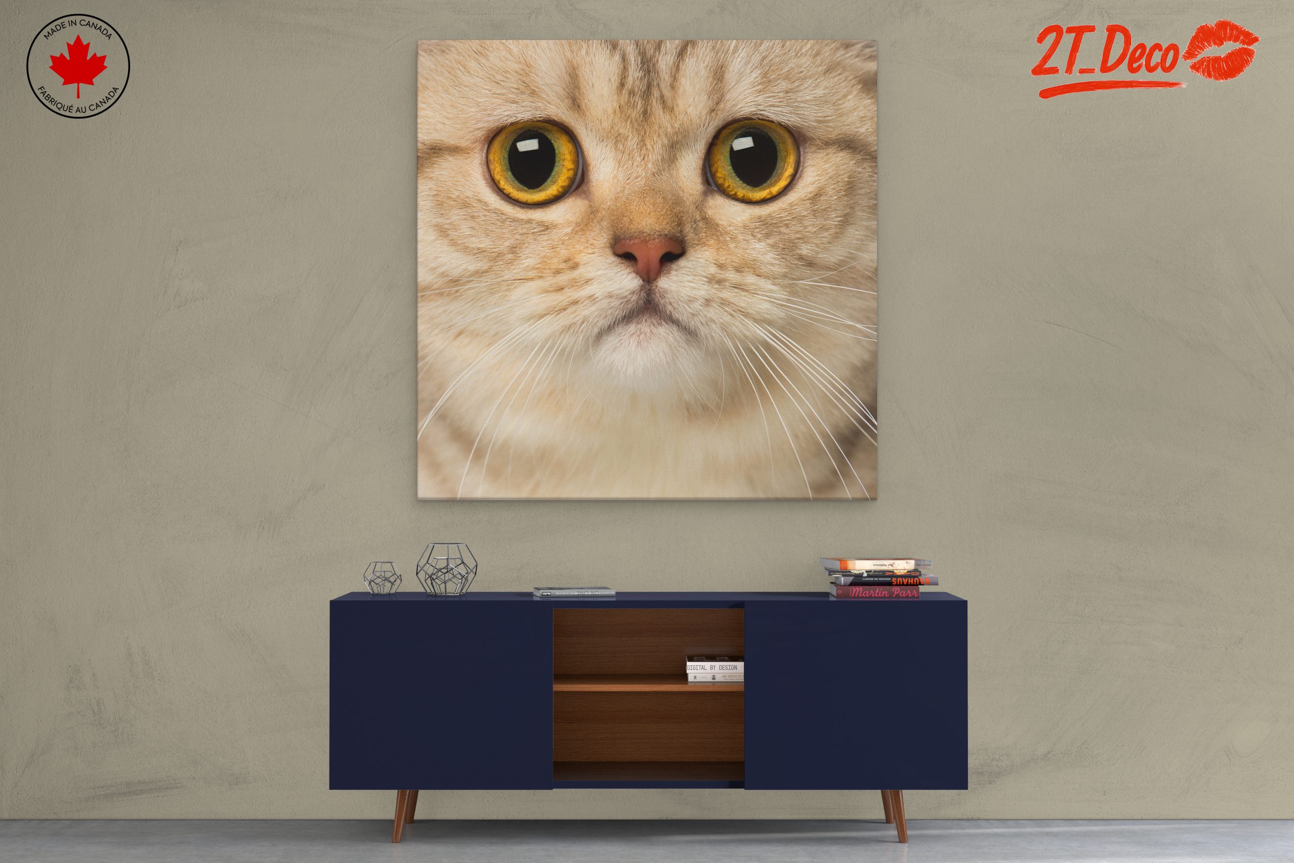 Close-Up Cat Portrait with Bright Eyes - Image 3