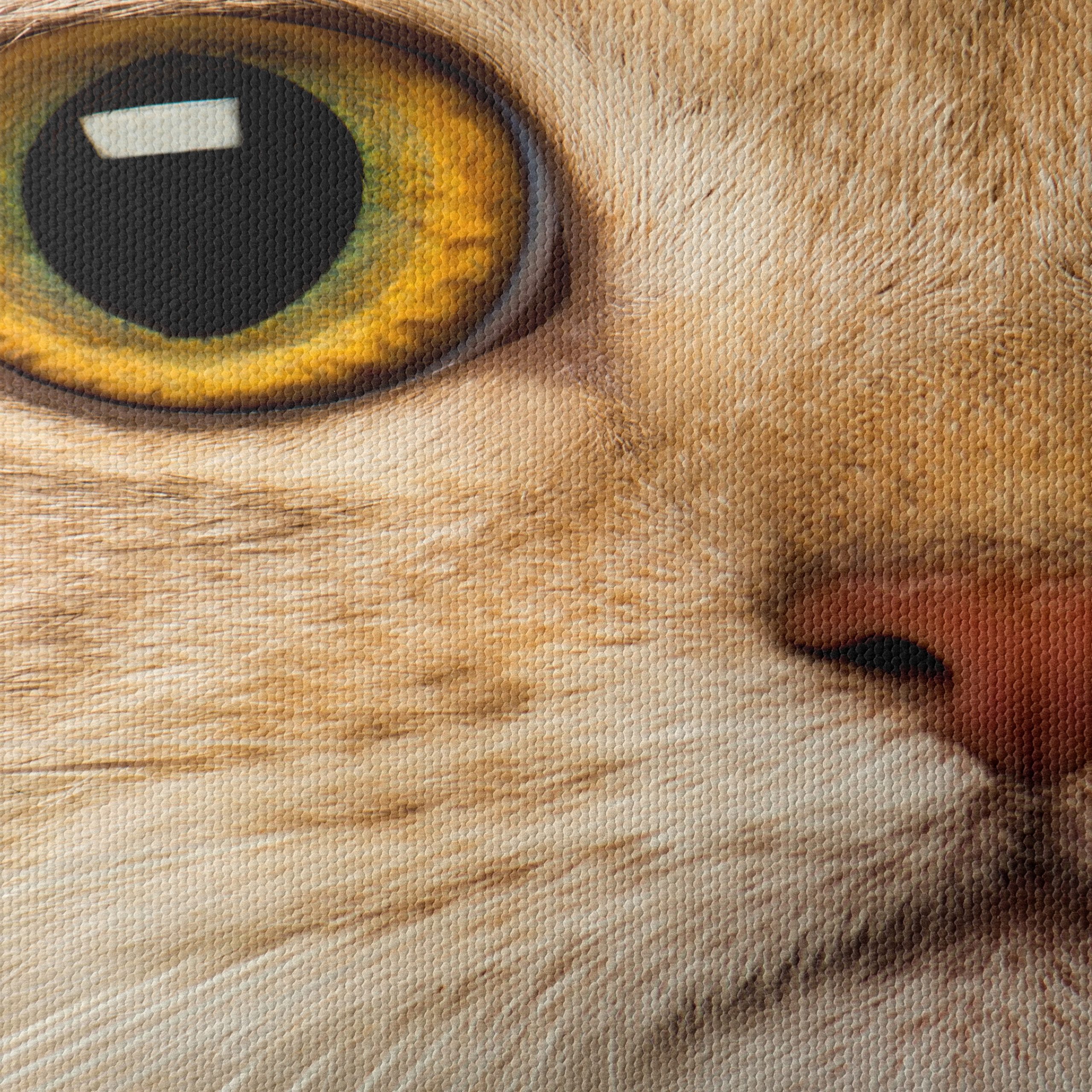 Close-Up Cat Portrait with Bright Eyes - Image 4