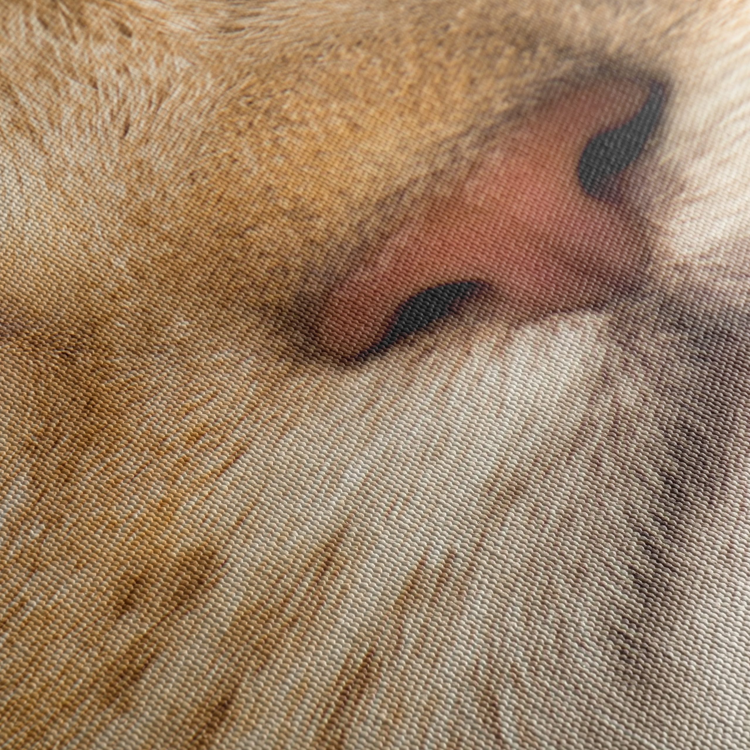 Close-Up Cat Portrait with Bright Eyes - Image 5