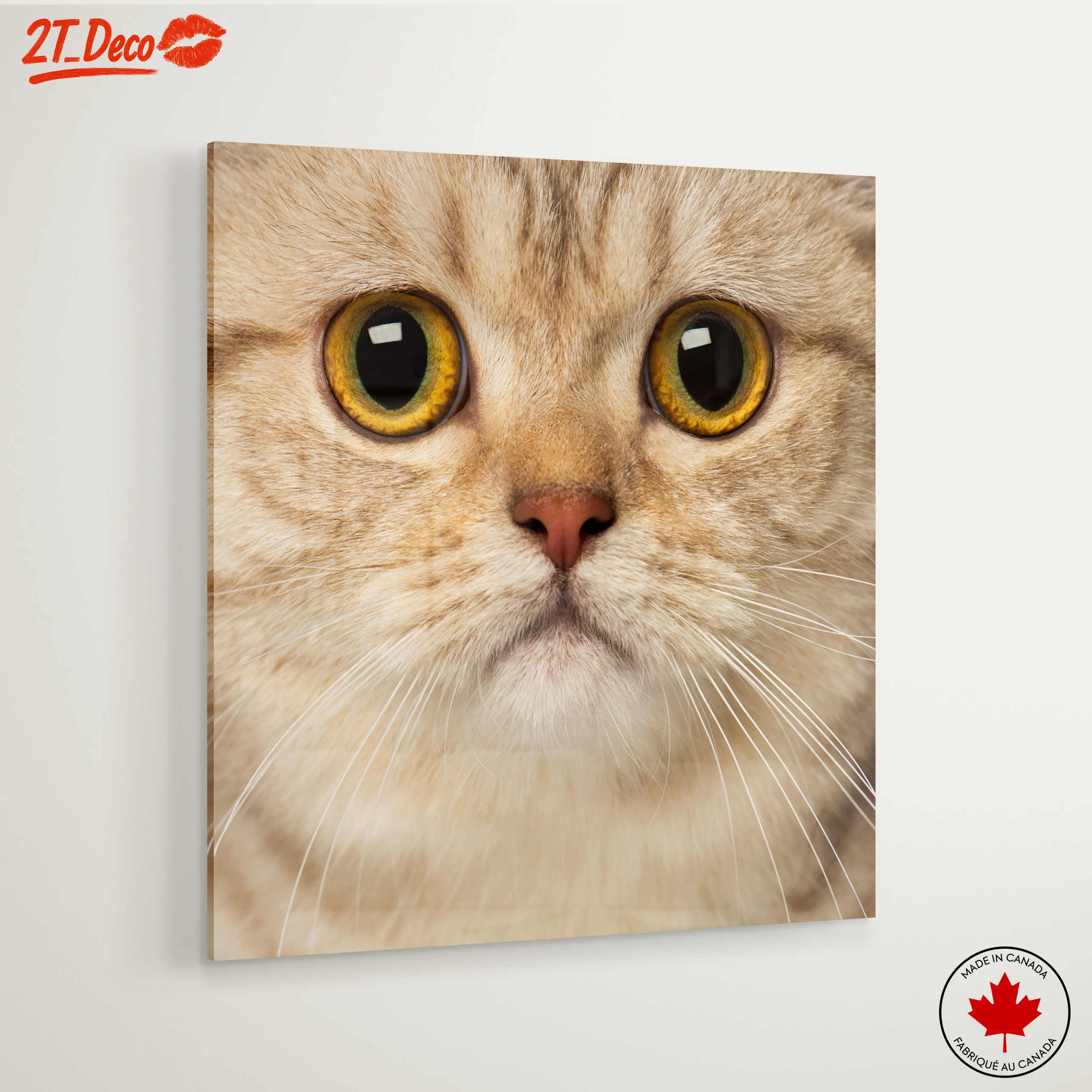 Close-Up Cat Portrait with Bright Eyes - Image 6