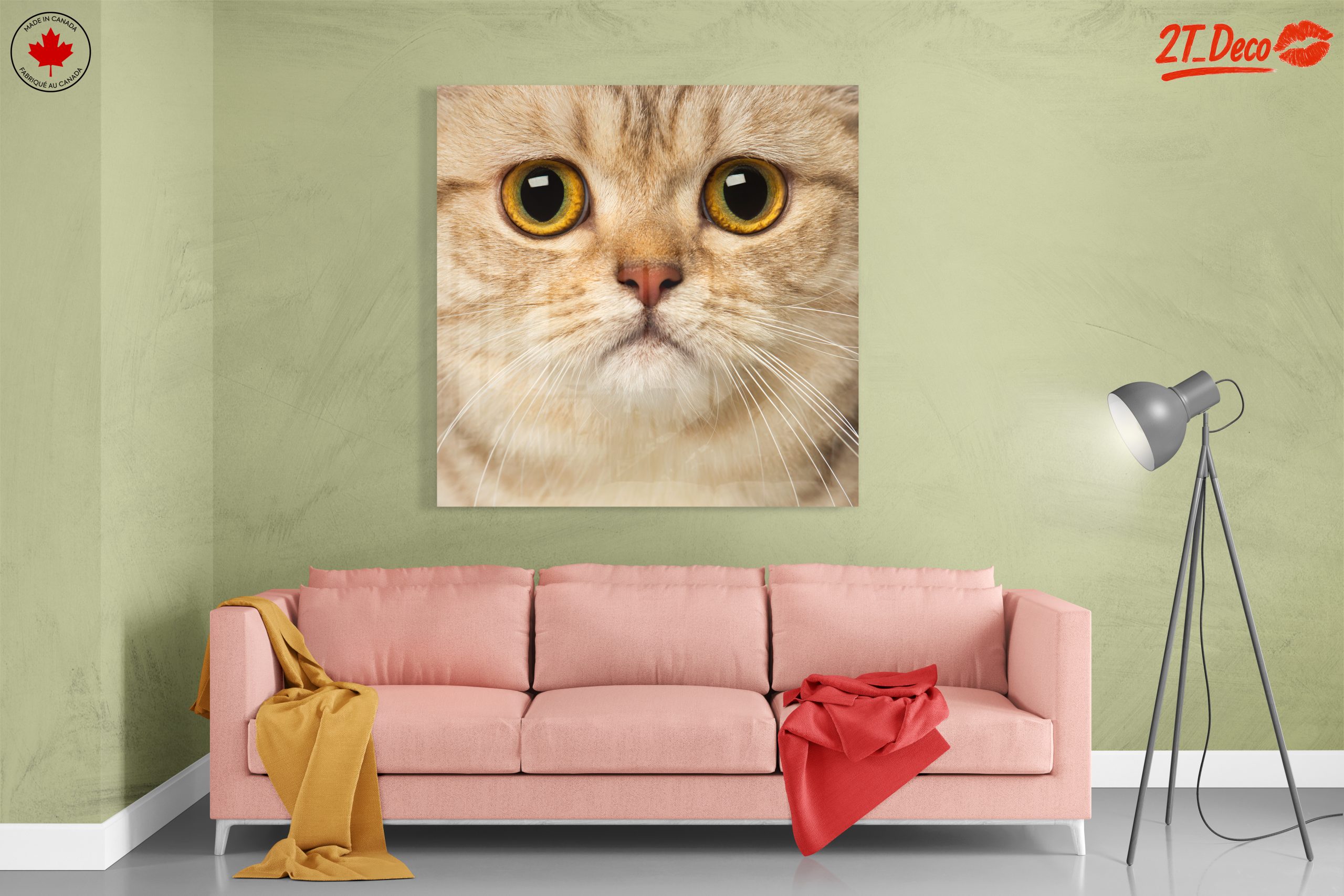 Close-Up Cat Portrait with Bright Eyes - Image 7
