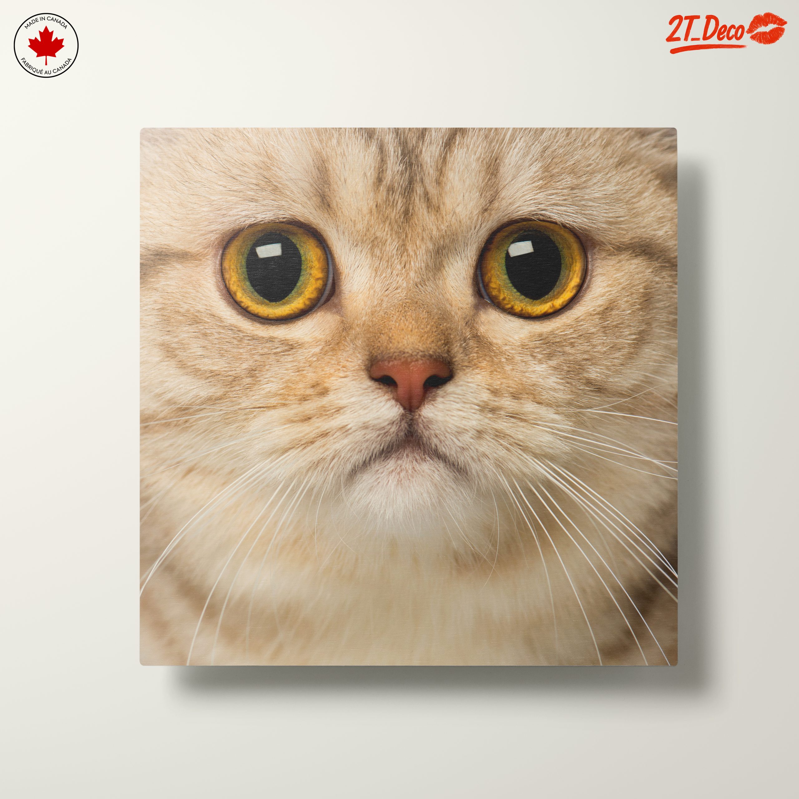 Close-Up Cat Portrait with Bright Eyes - Image 10