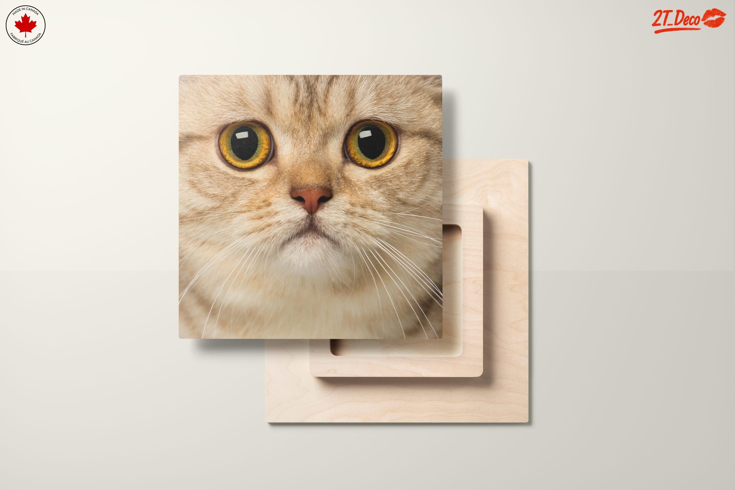 Close-Up Cat Portrait with Bright Eyes - Image 11