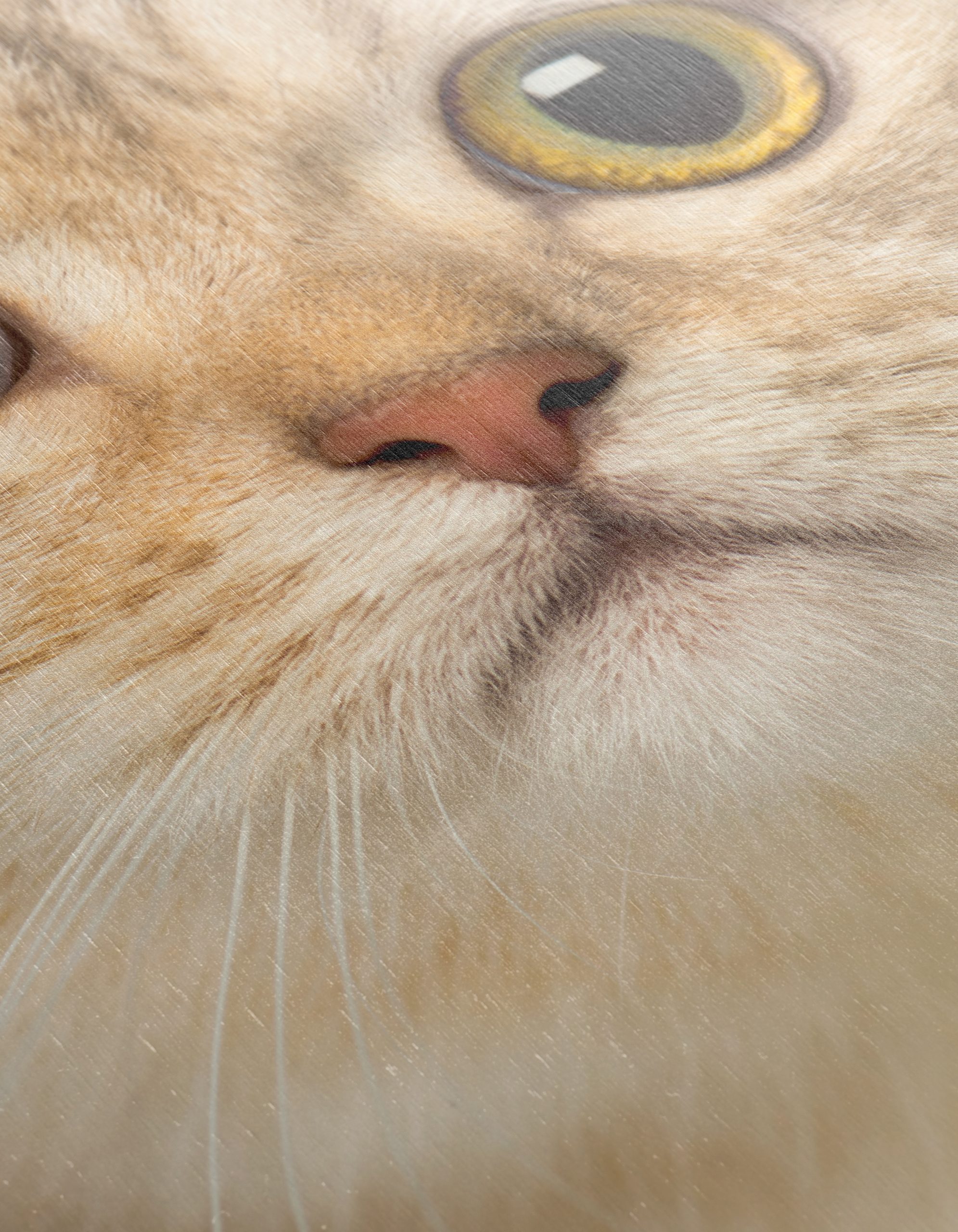 Close-Up Cat Portrait with Bright Eyes - Image 12