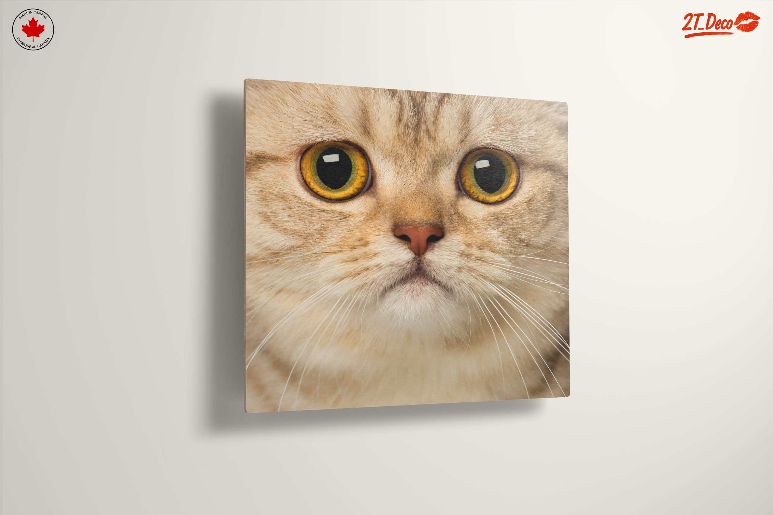 Close-Up Cat Portrait with Bright Eyes - Image 13