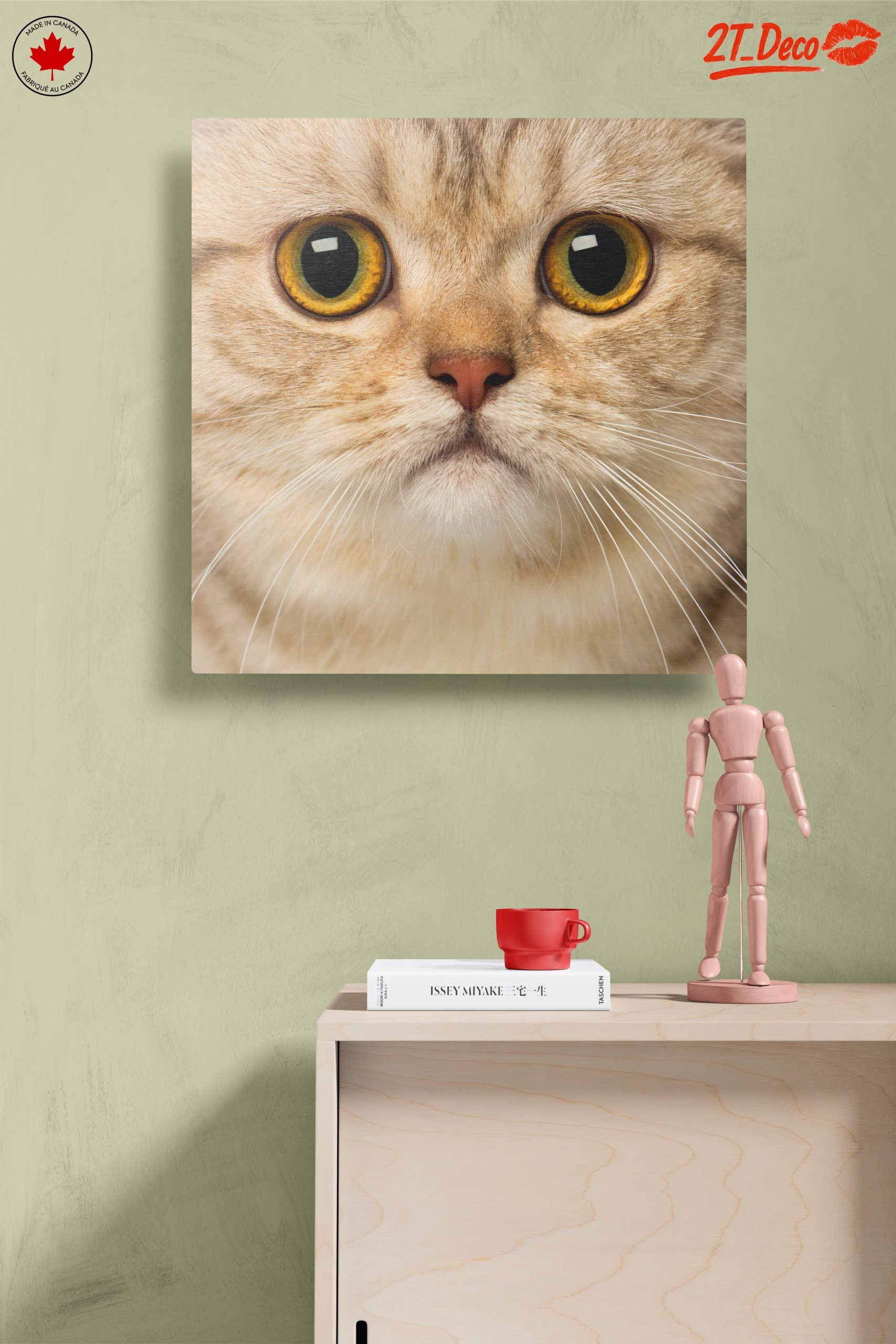 Close-Up Cat Portrait with Bright Eyes - Image 14