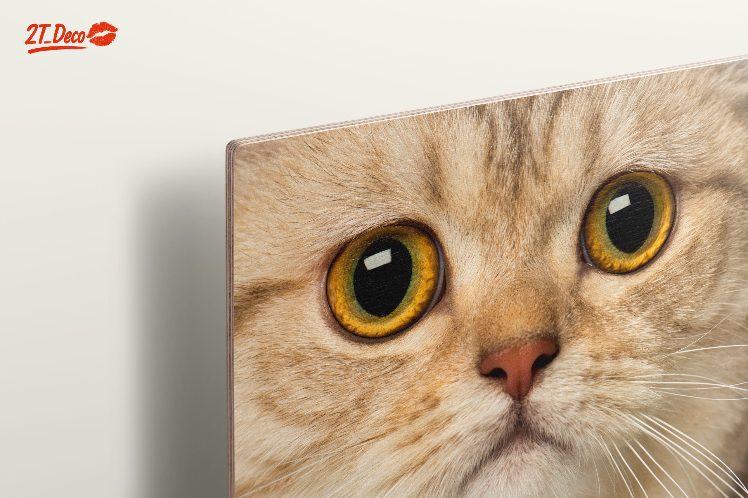 Close-Up Cat Portrait with Bright Eyes - Image 15
