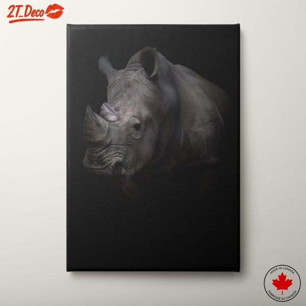 Majestic Rhinoceros Portrait