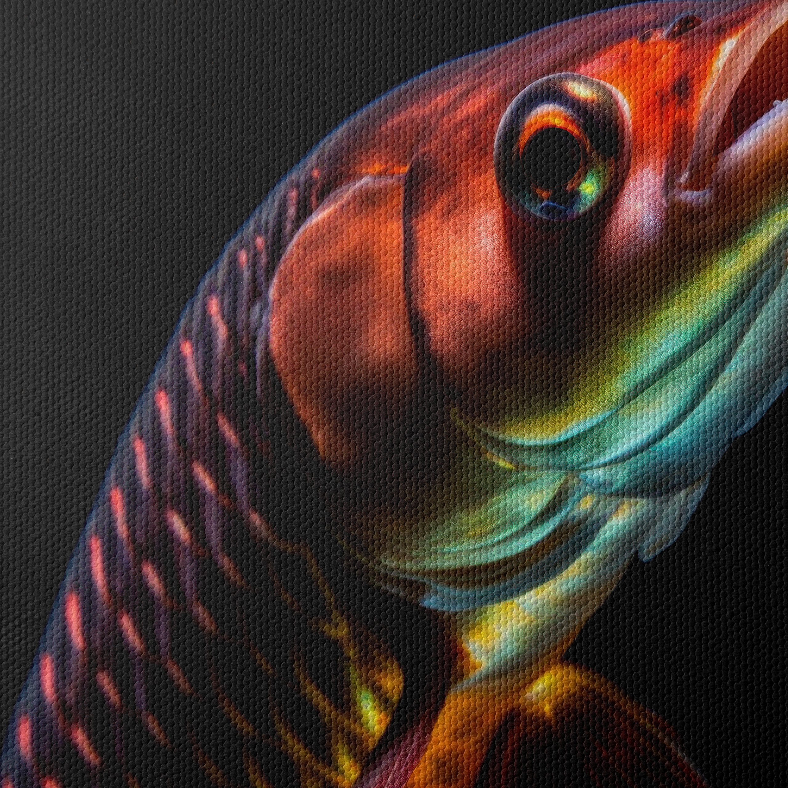 Vibrant Fish Portrait on Black Background - Image 4