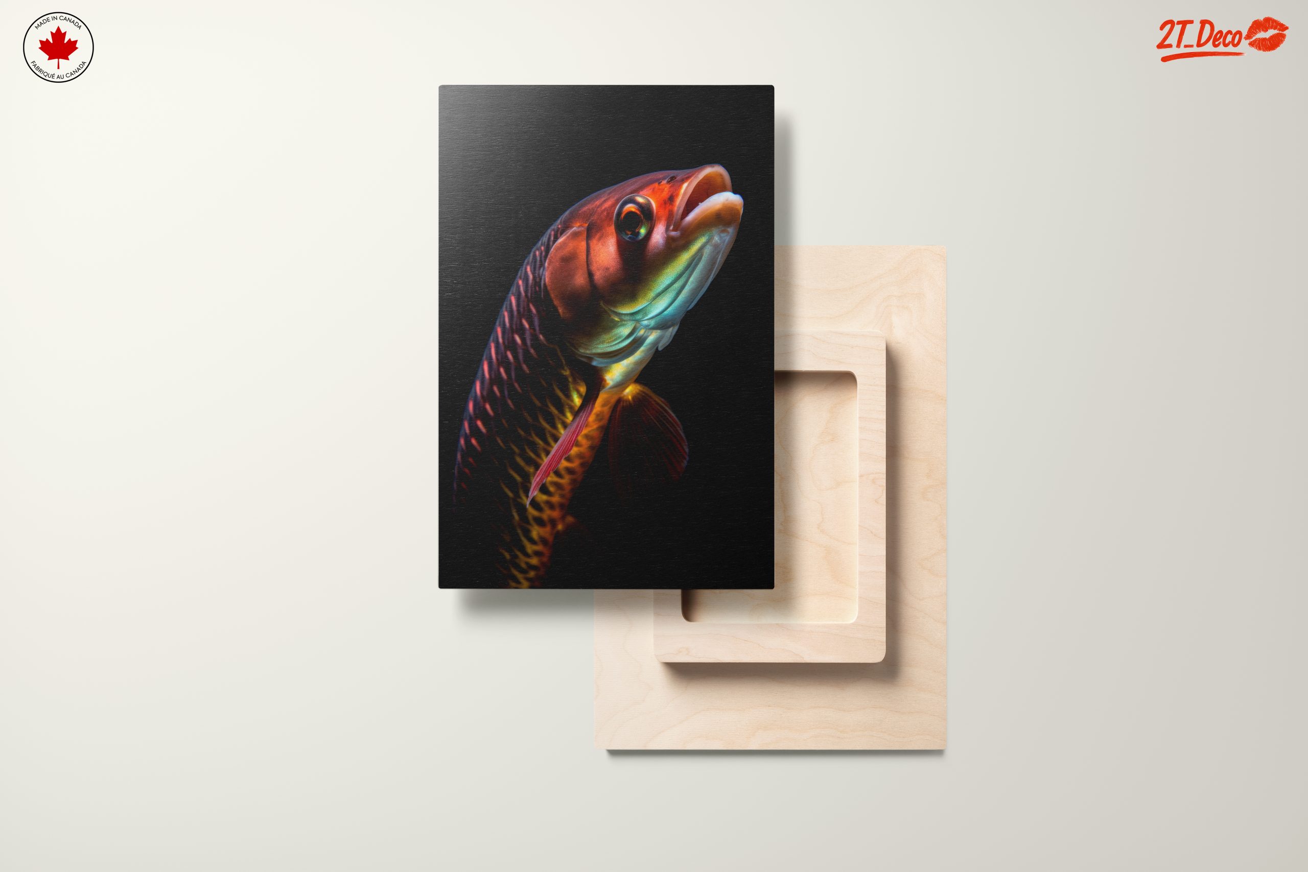 Vibrant Fish Portrait on Black Background - Image 11