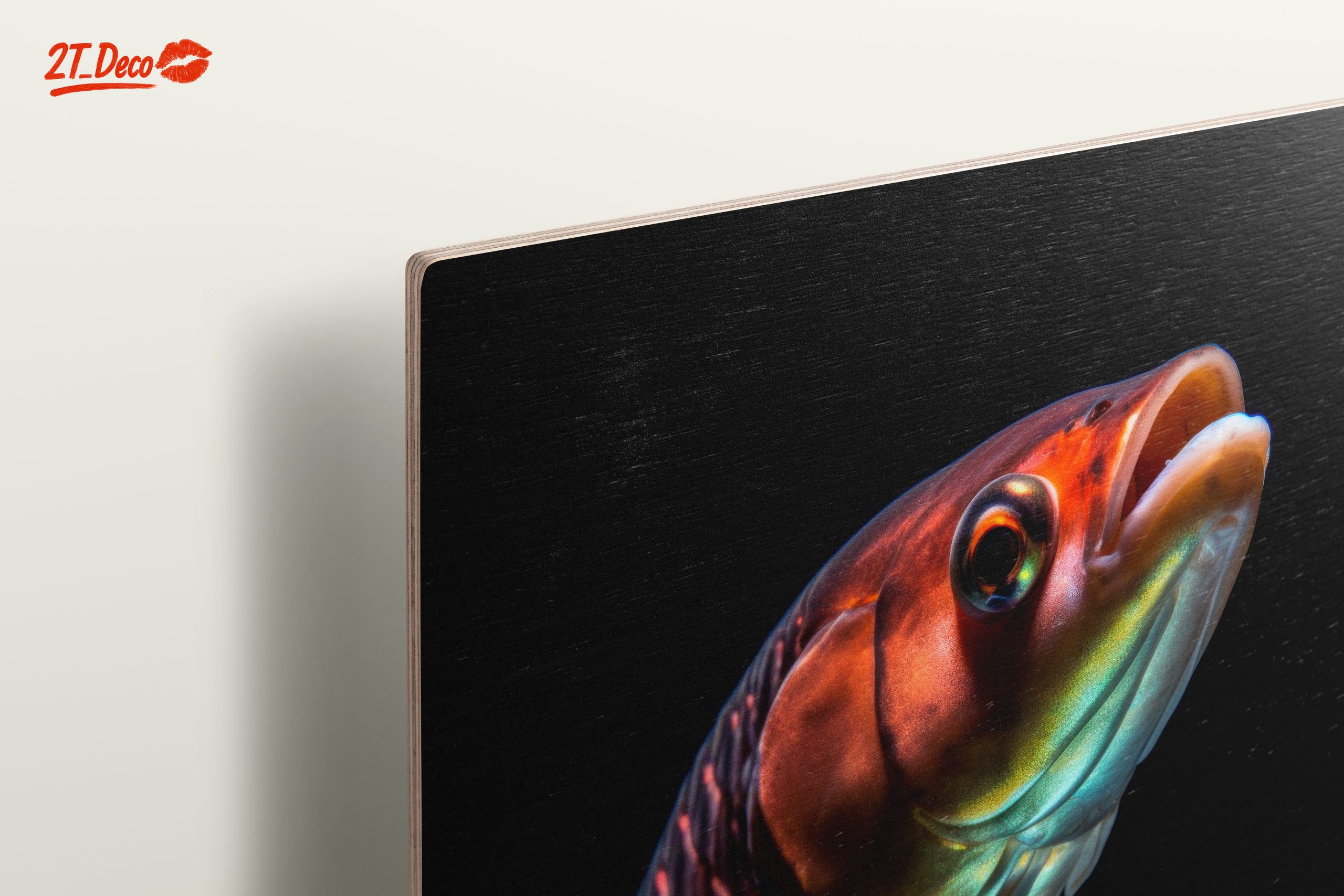 Vibrant Fish Portrait on Black Background - Image 15