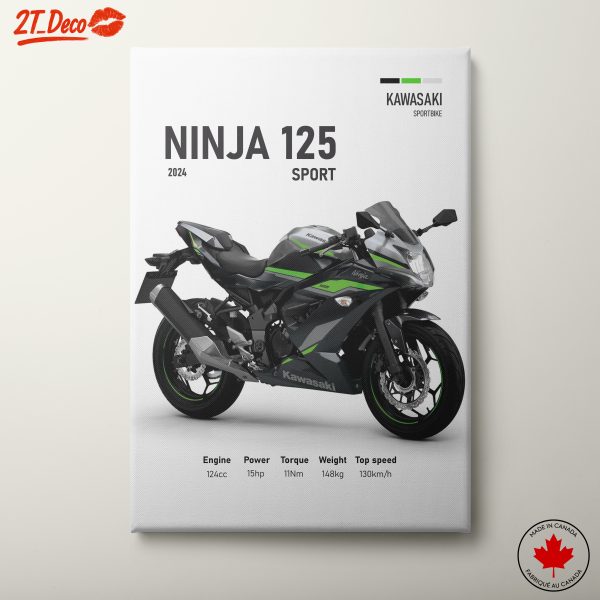2024 Kawasaki Ninja 125 Sport Motorcycle Art