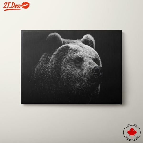 Stunning Black and White Bear Portrait