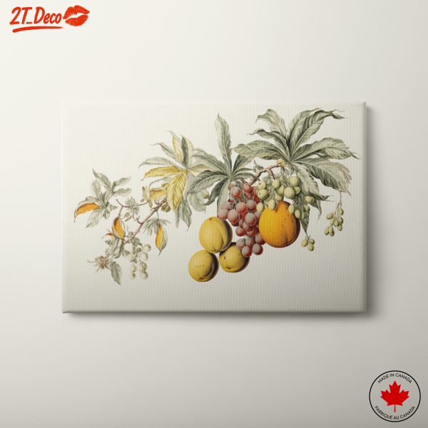 Stylized Abstract Food Artwork of Fruits
