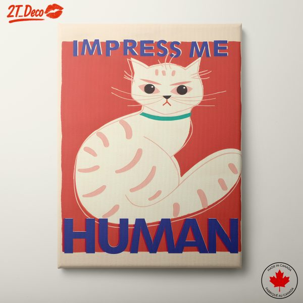 Whimsical Cat Illustration With Bold Text