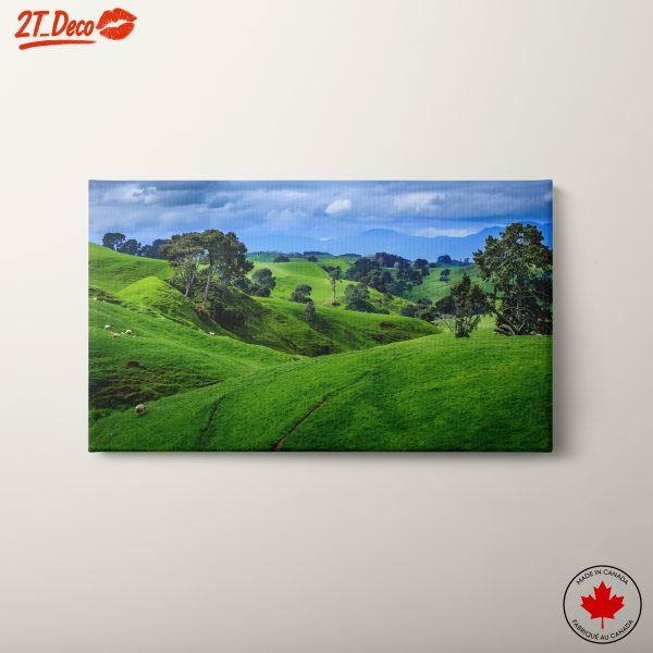 Lush Green Rolling Hills Landscape