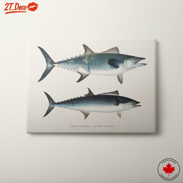 Artistic Representation of Marine Life