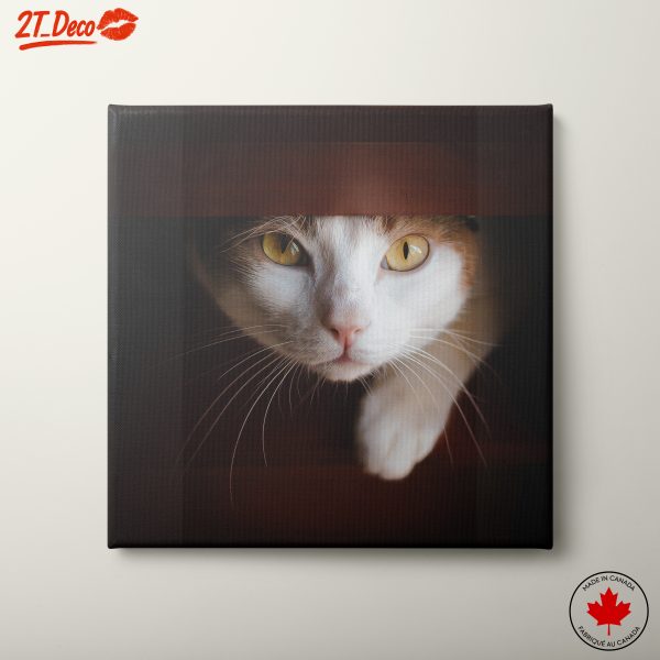 Close-Up Portrait of a Cat 2