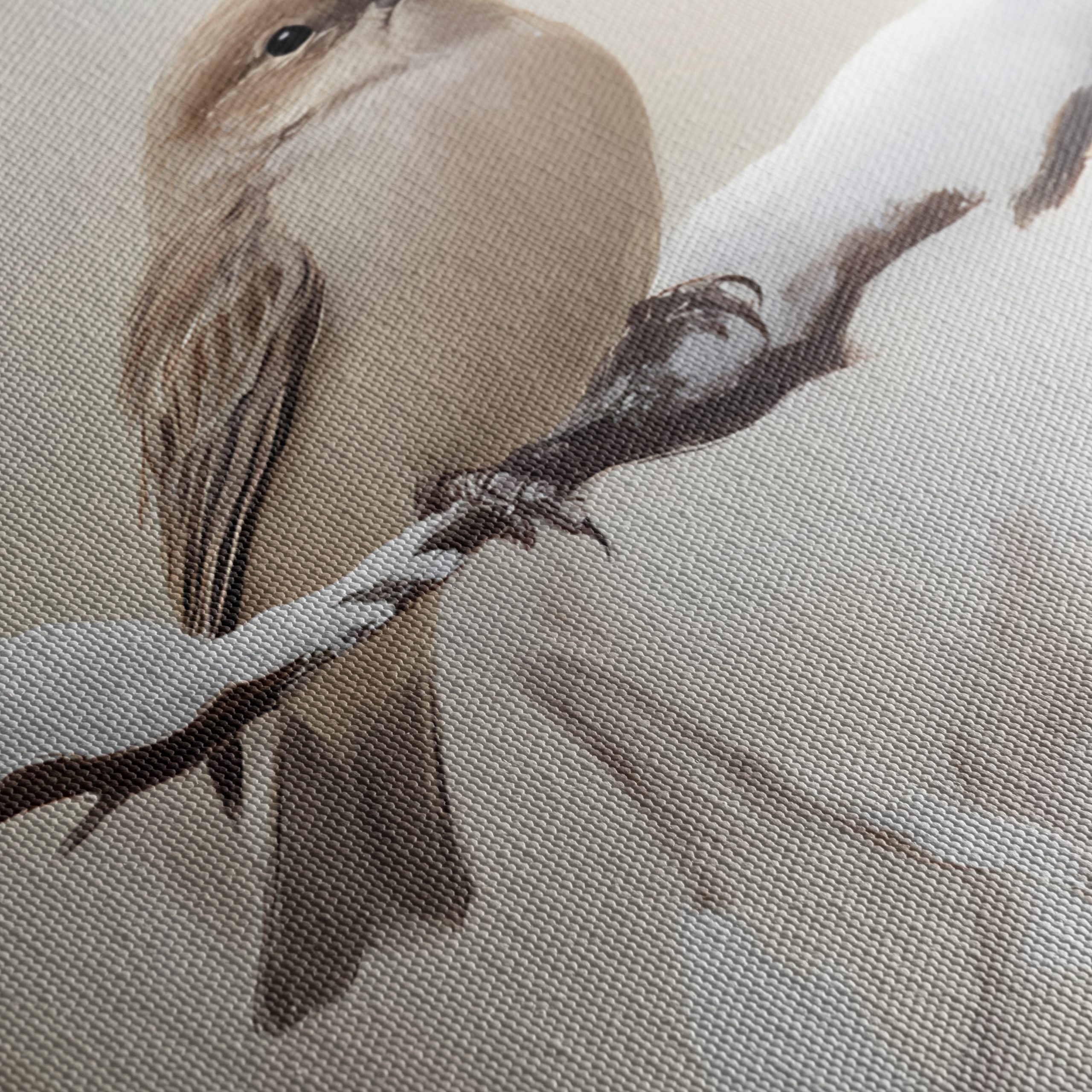 Two Birds Perched on Snowy Branch - Image 5
