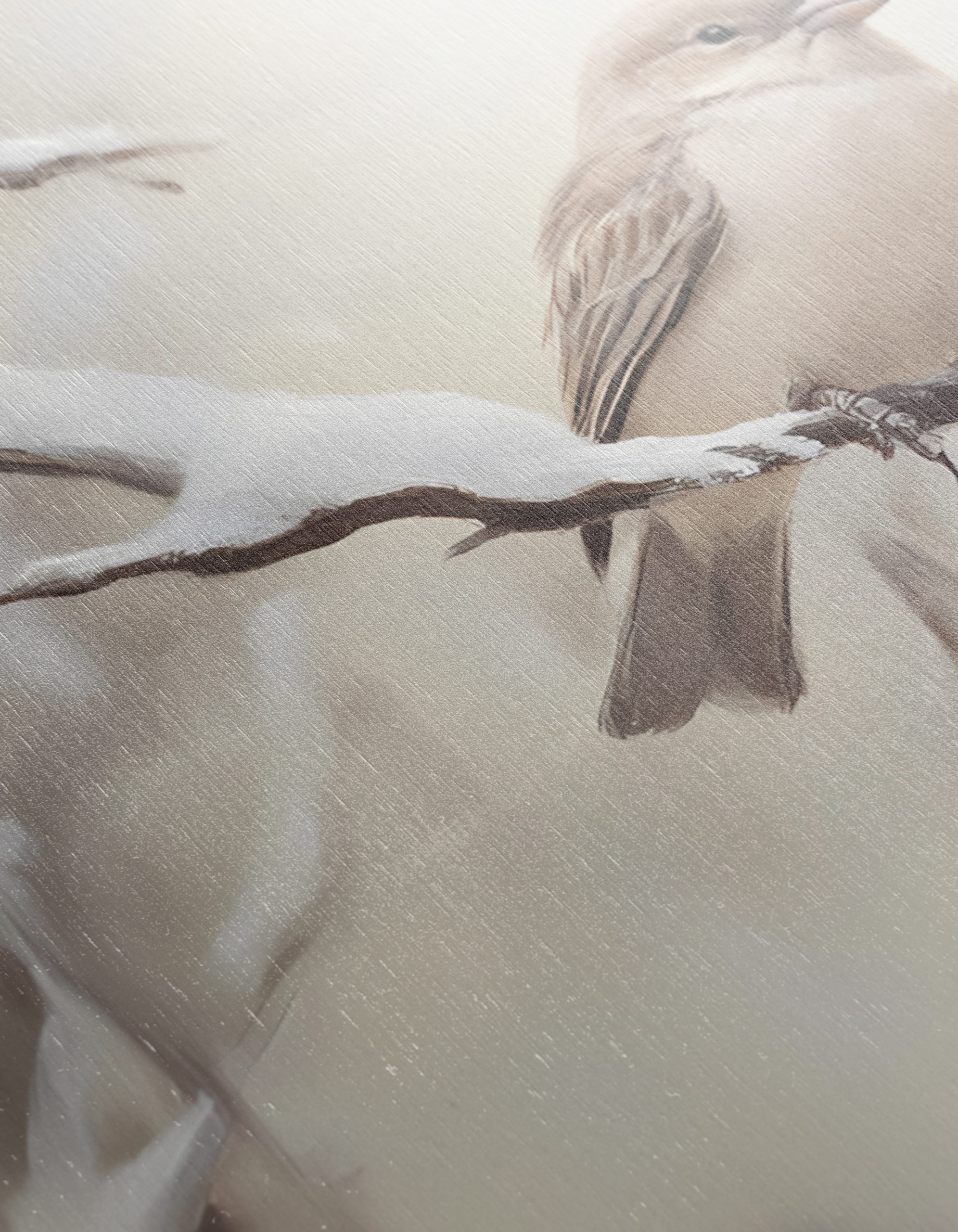 Two Birds Perched on Snowy Branch - Image 12