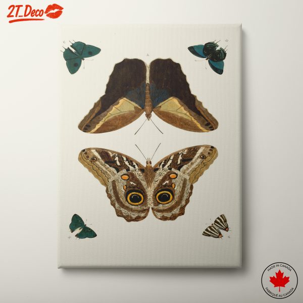 Artistic Butterfly Illustration