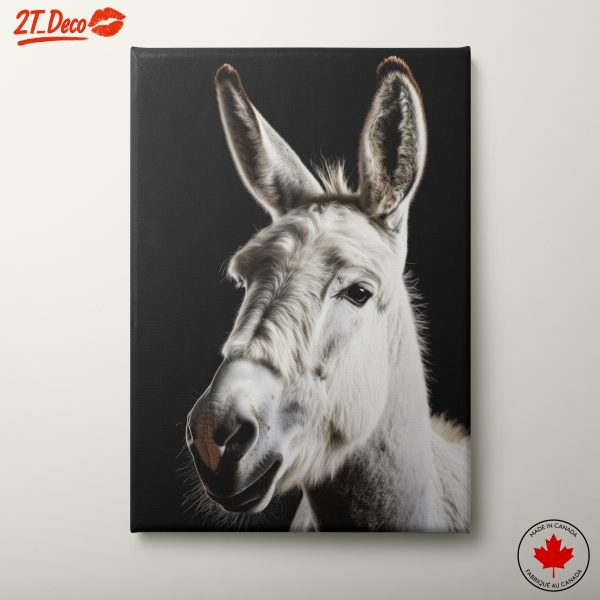 Stunning Artistic Portrait of a White Animal