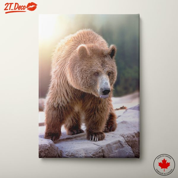 Realistic Bear Wall Art