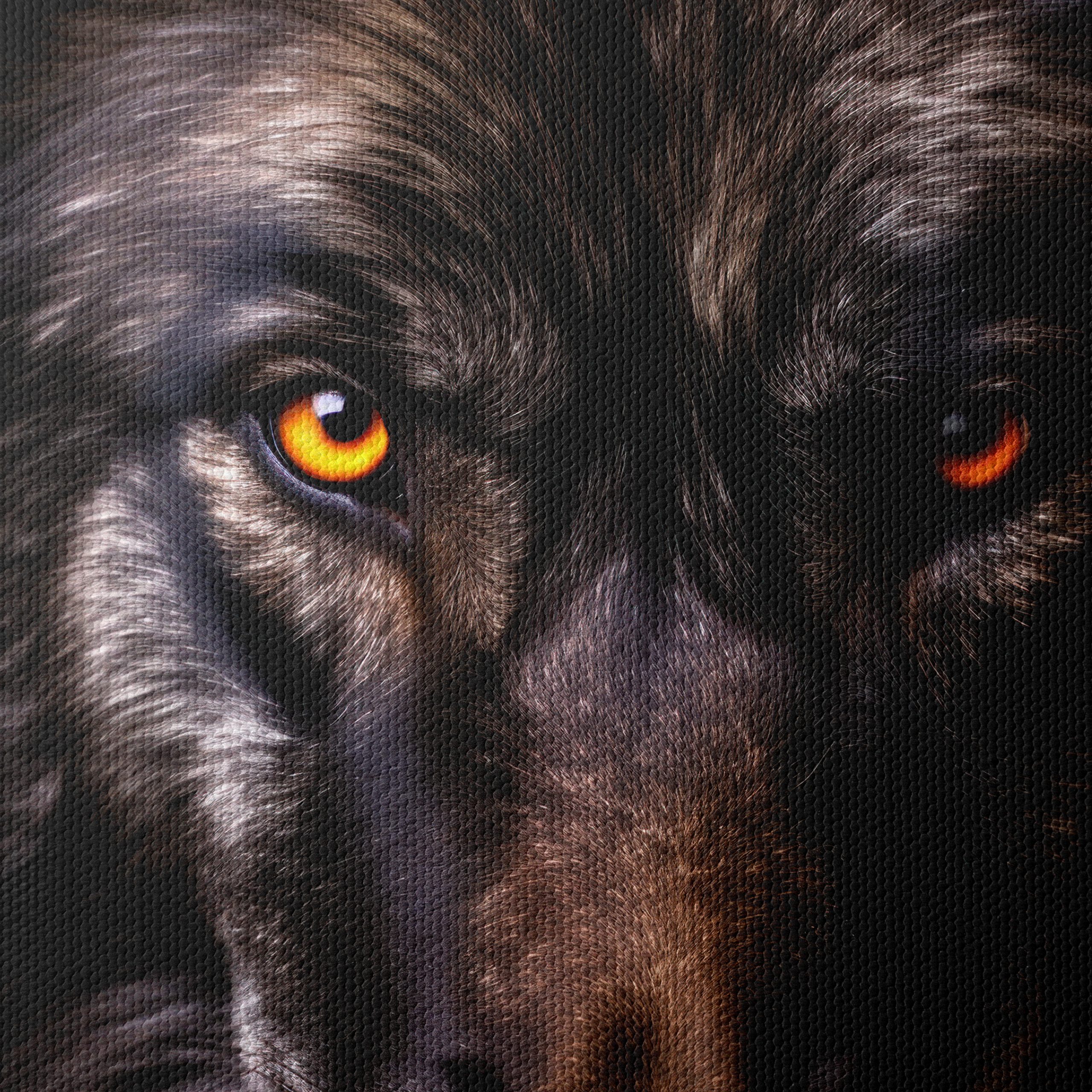 Wild Wolf Portrait with Striking Eyes - Image 4