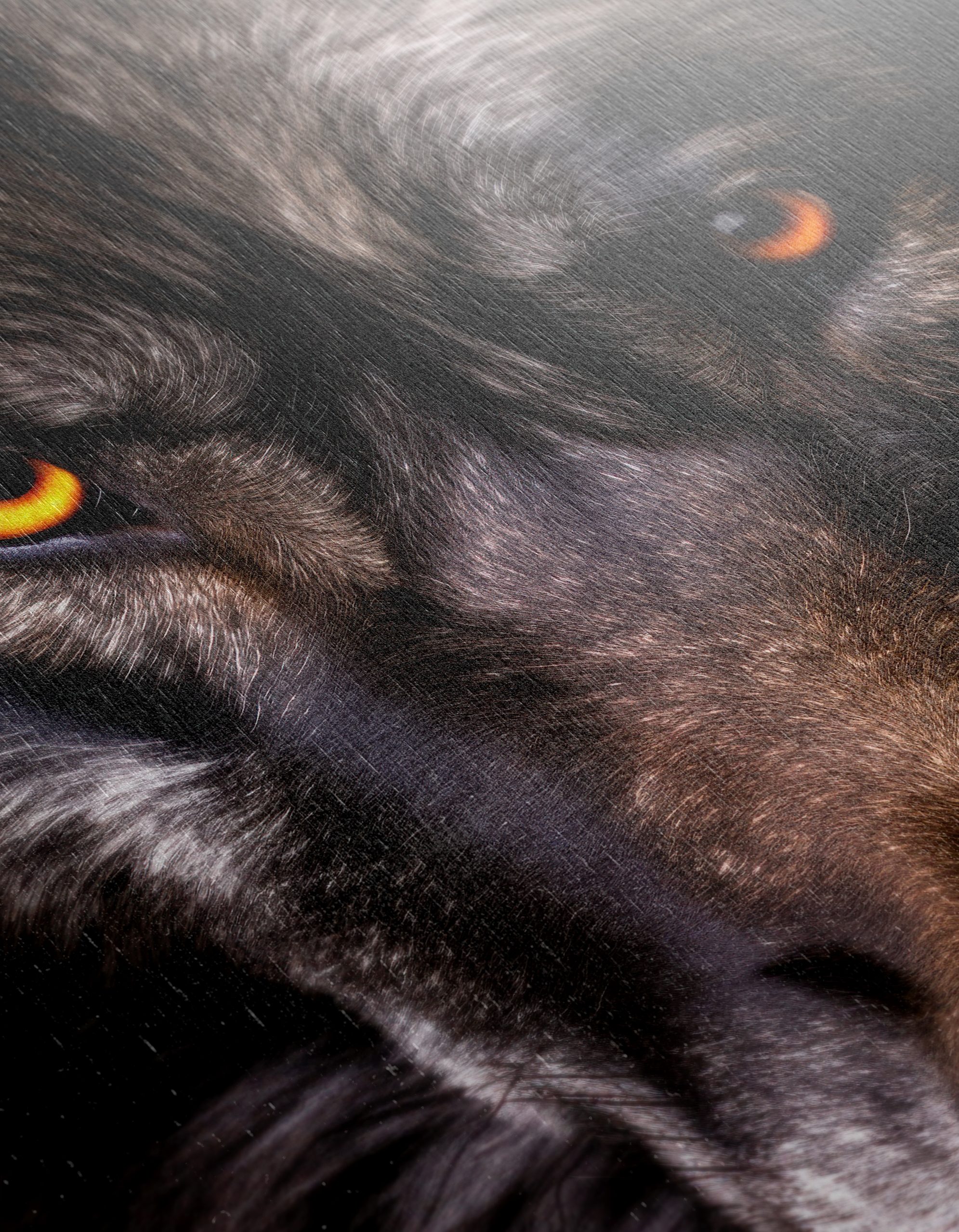 Wild Wolf Portrait with Striking Eyes - Image 12