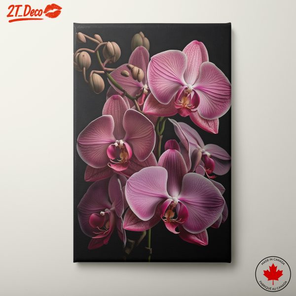 Elegant Pink Orchid Floral Art