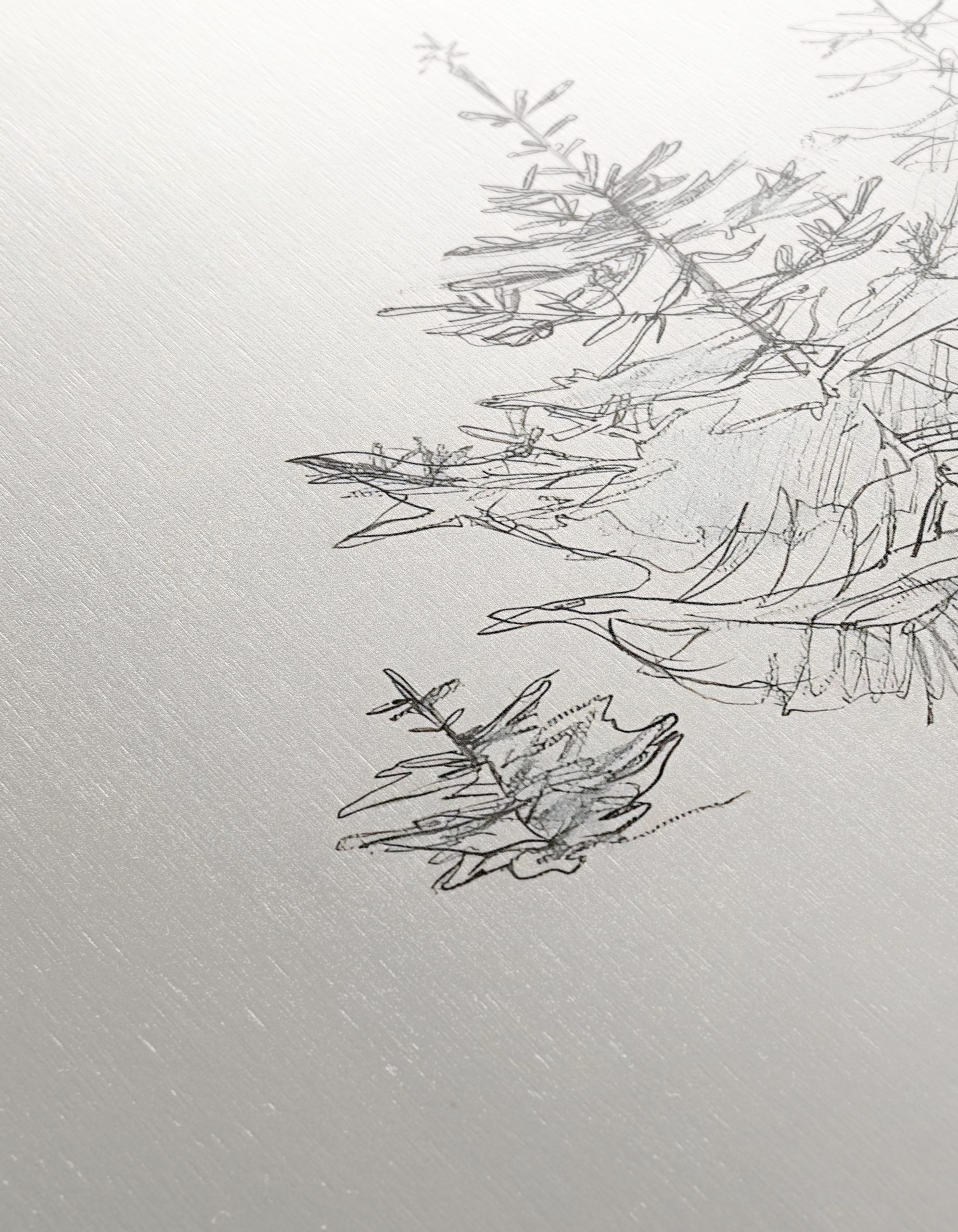 Stylized Forest Illustration - Image 12
