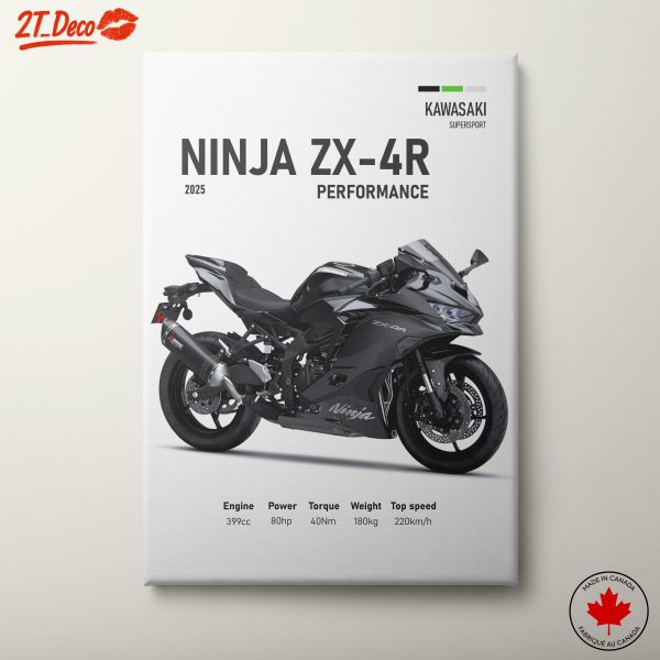 Kawasaki Ninja ZX-4R Supersport Motorcycle