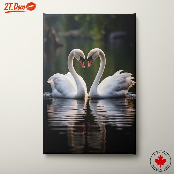 Elegant Swans in Serene Reflection