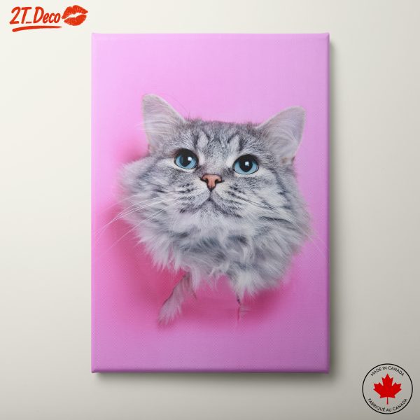 Playful Cat Portrait on Pink Background