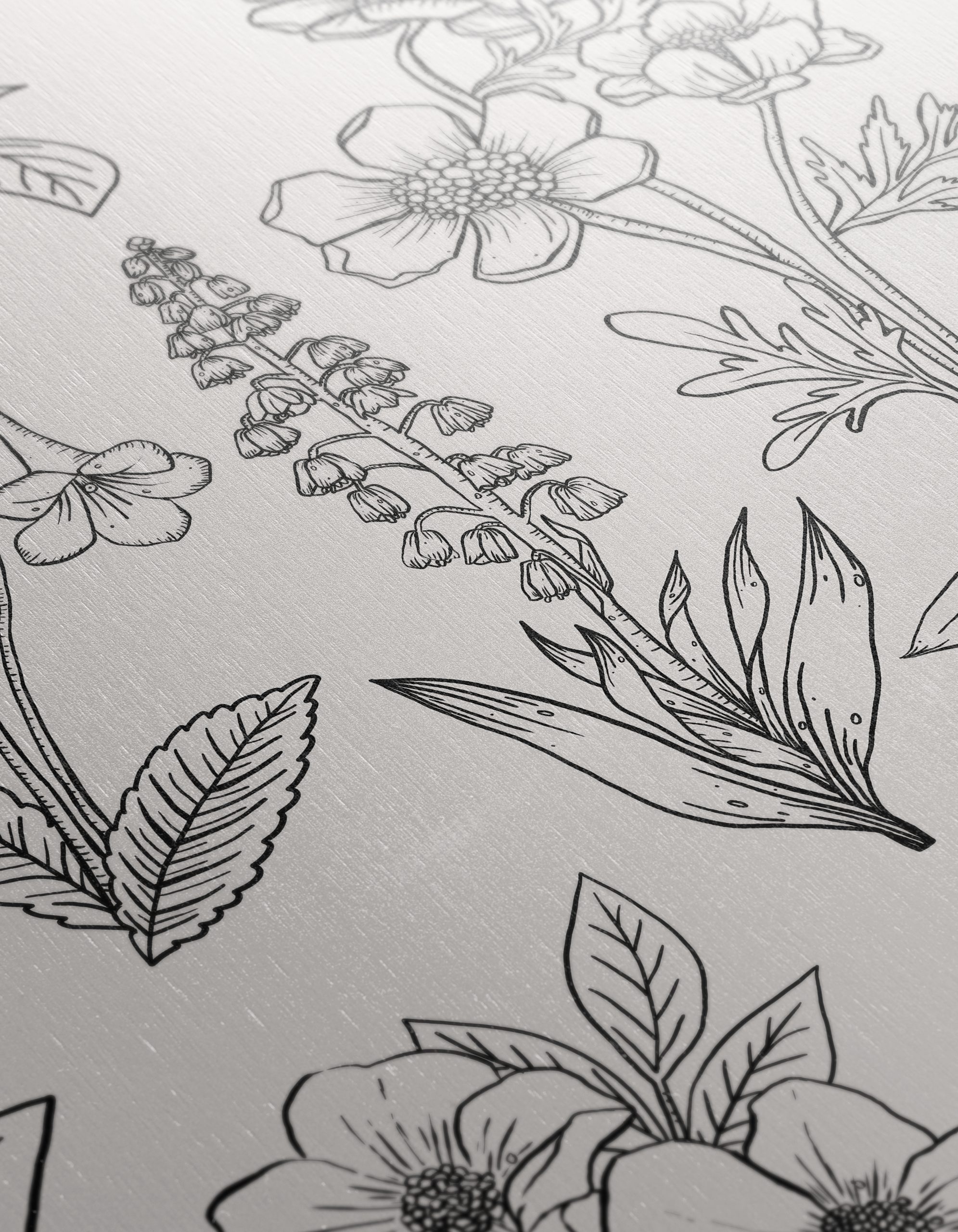 Hand-Drawn Botanical Leaf Artwork - Image 12