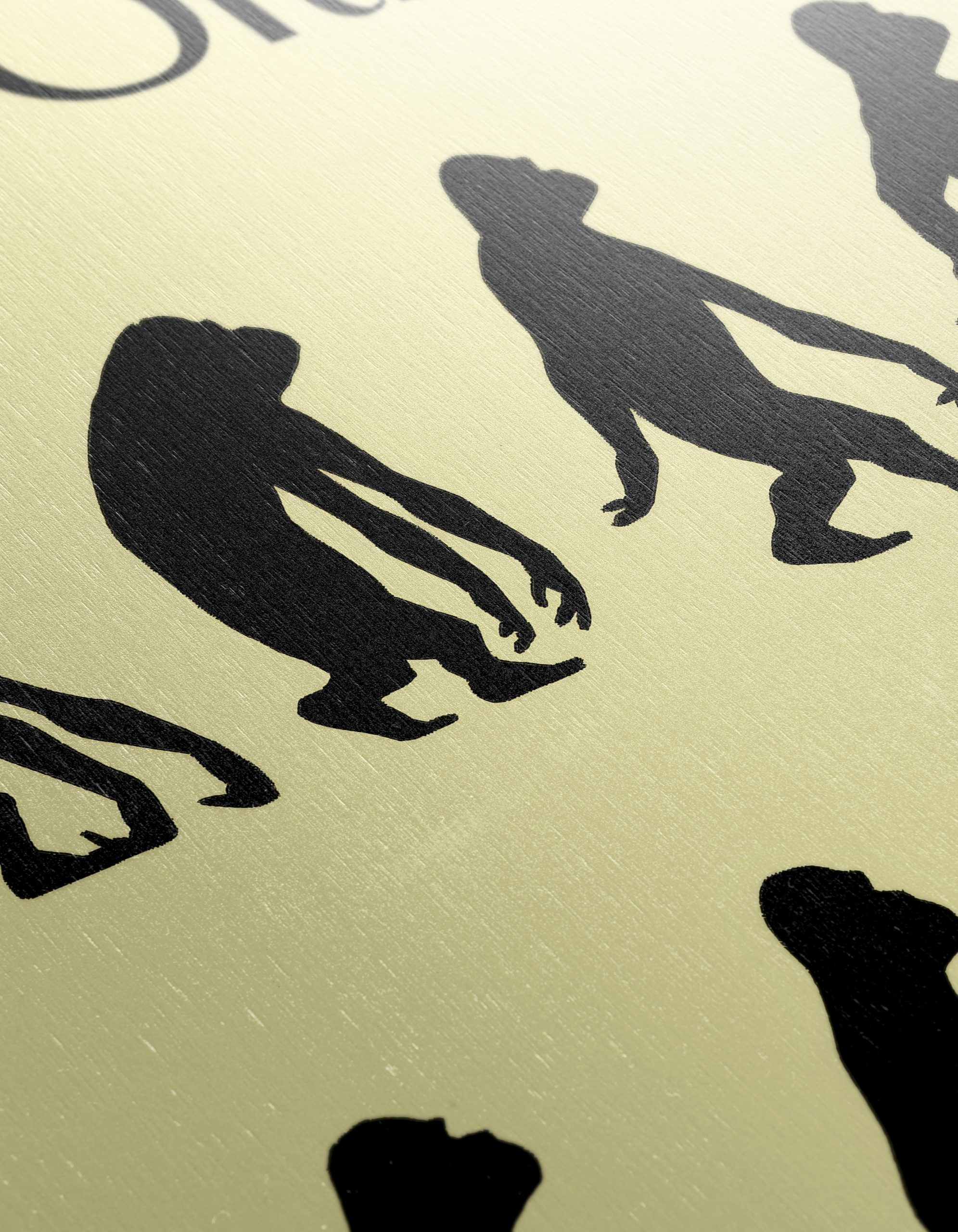 New Yorker Evolution Wall Art - Image 12