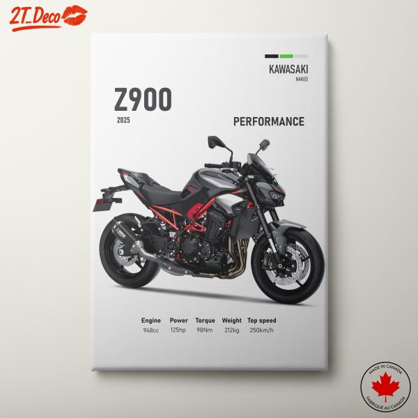 Kawasaki Z900 2025 Motorcycle Performance