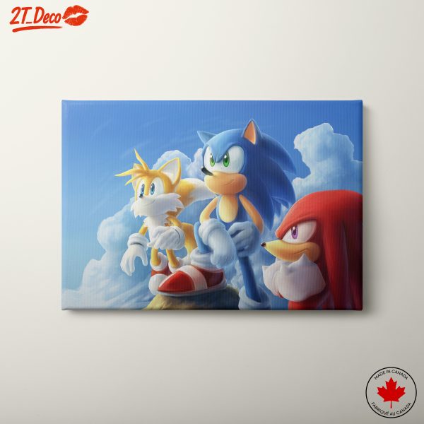 Sonic and Friends Character Art