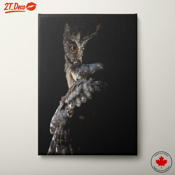 Majestic Owl Wall Art 2