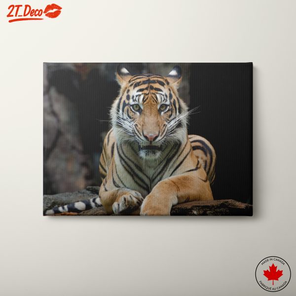 Majestic Tiger Portrait Wall Art 3