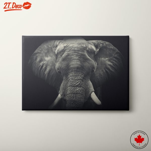 Stunning Black and White Elephant Wall Art 2