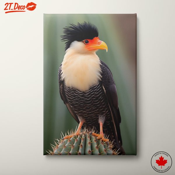 Colorful Bird on Cactus