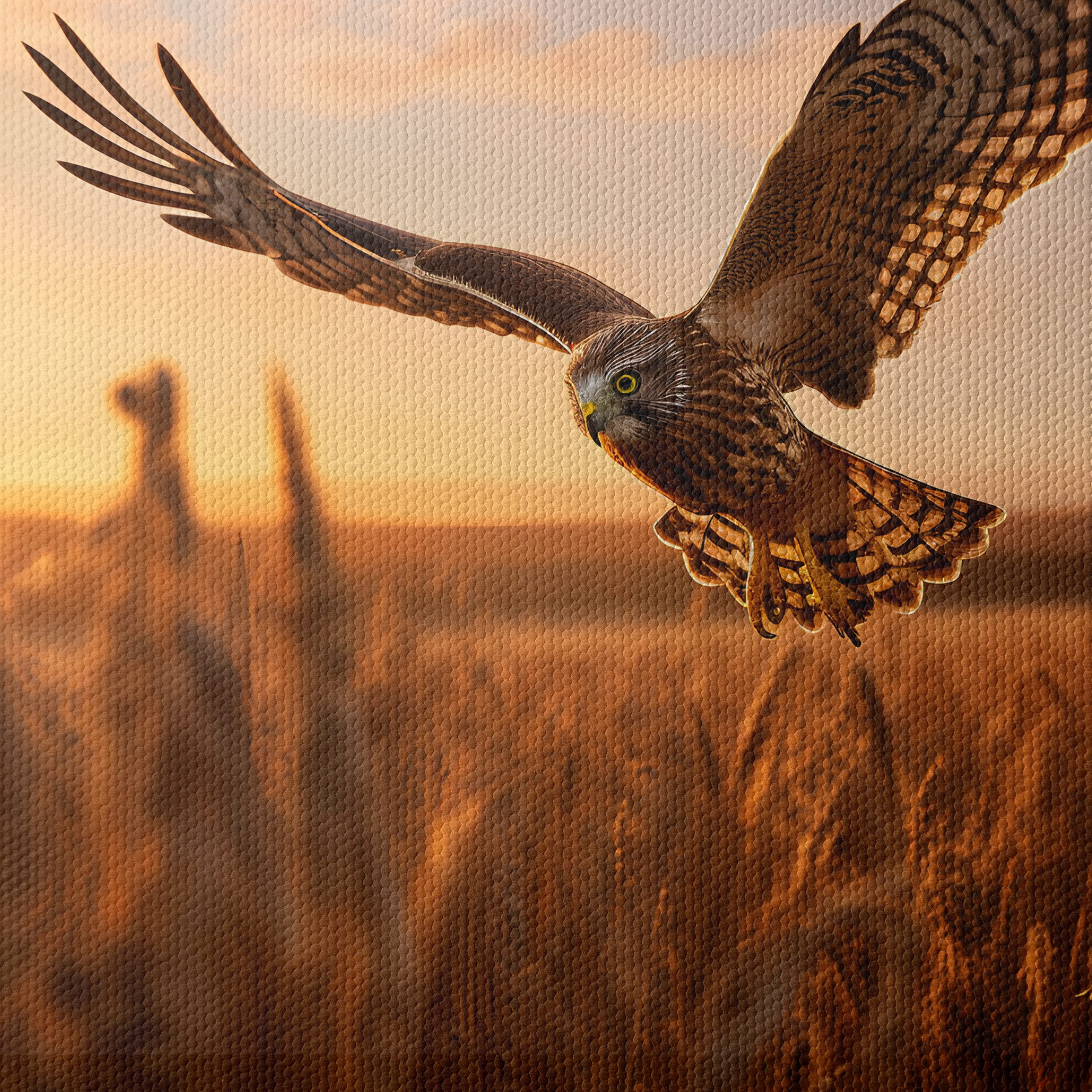 Majestic Owl in Flight at Sunset - Image 4