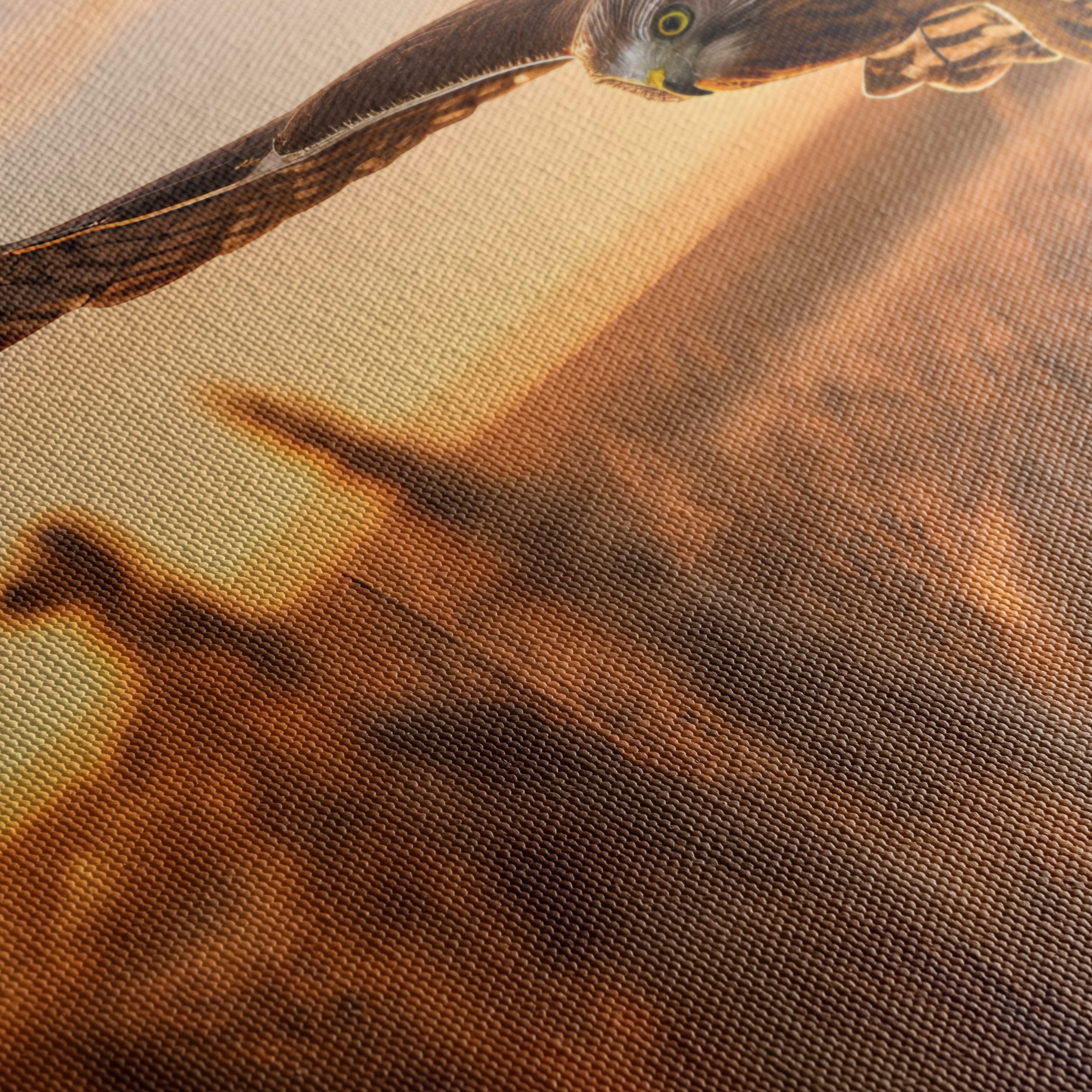 Majestic Owl in Flight at Sunset - Image 5
