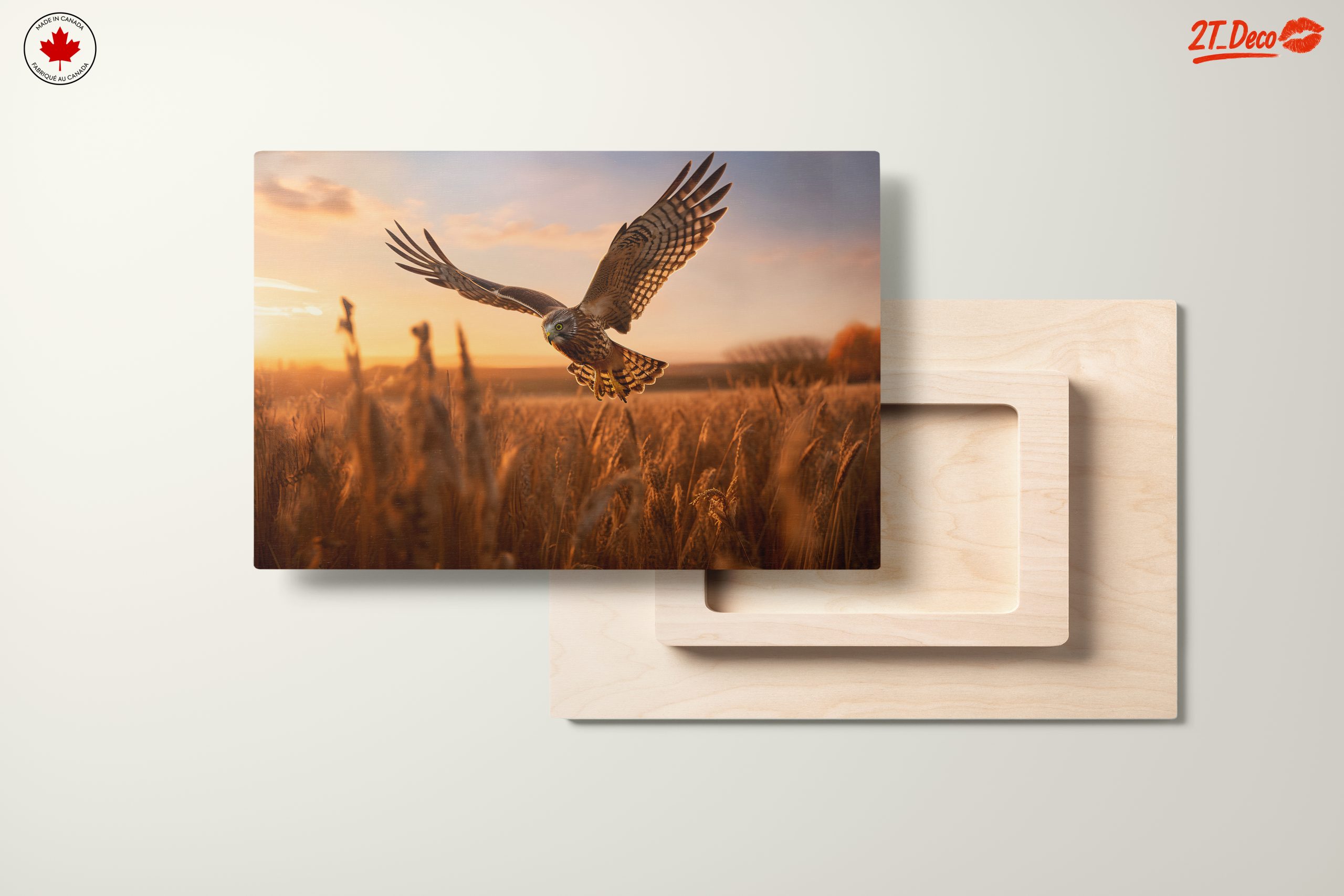 Majestic Owl in Flight at Sunset - Image 11