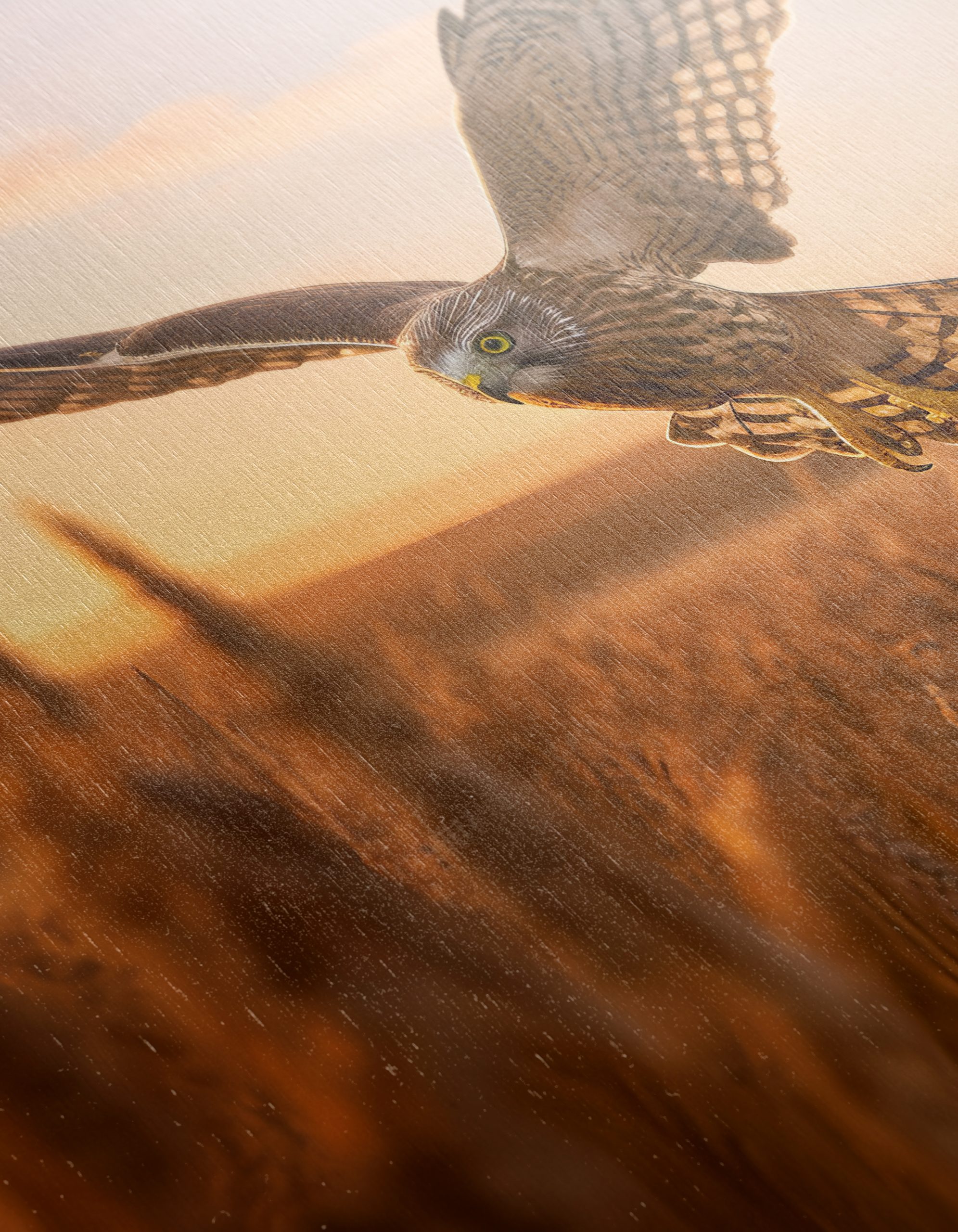 Majestic Owl in Flight at Sunset - Image 12