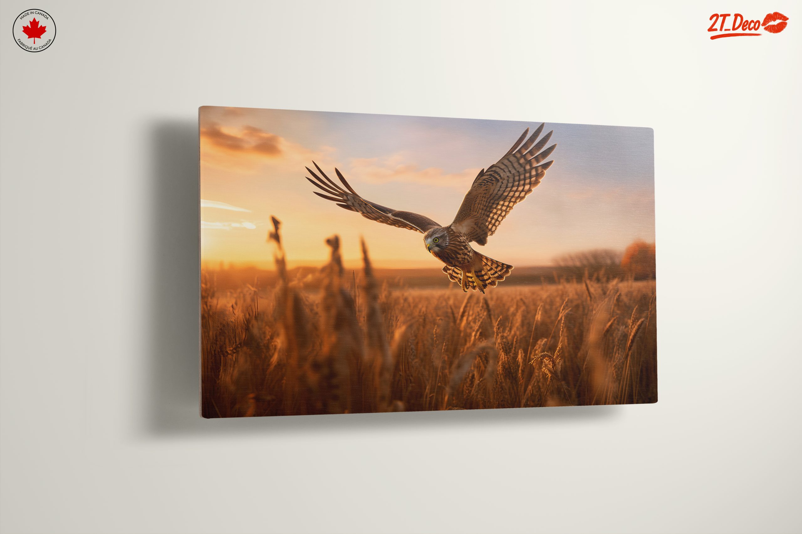 Majestic Owl in Flight at Sunset - Image 13