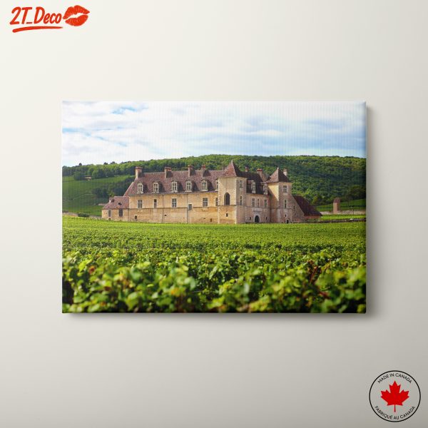 Beautiful Vineyard ChΓ’teau in France